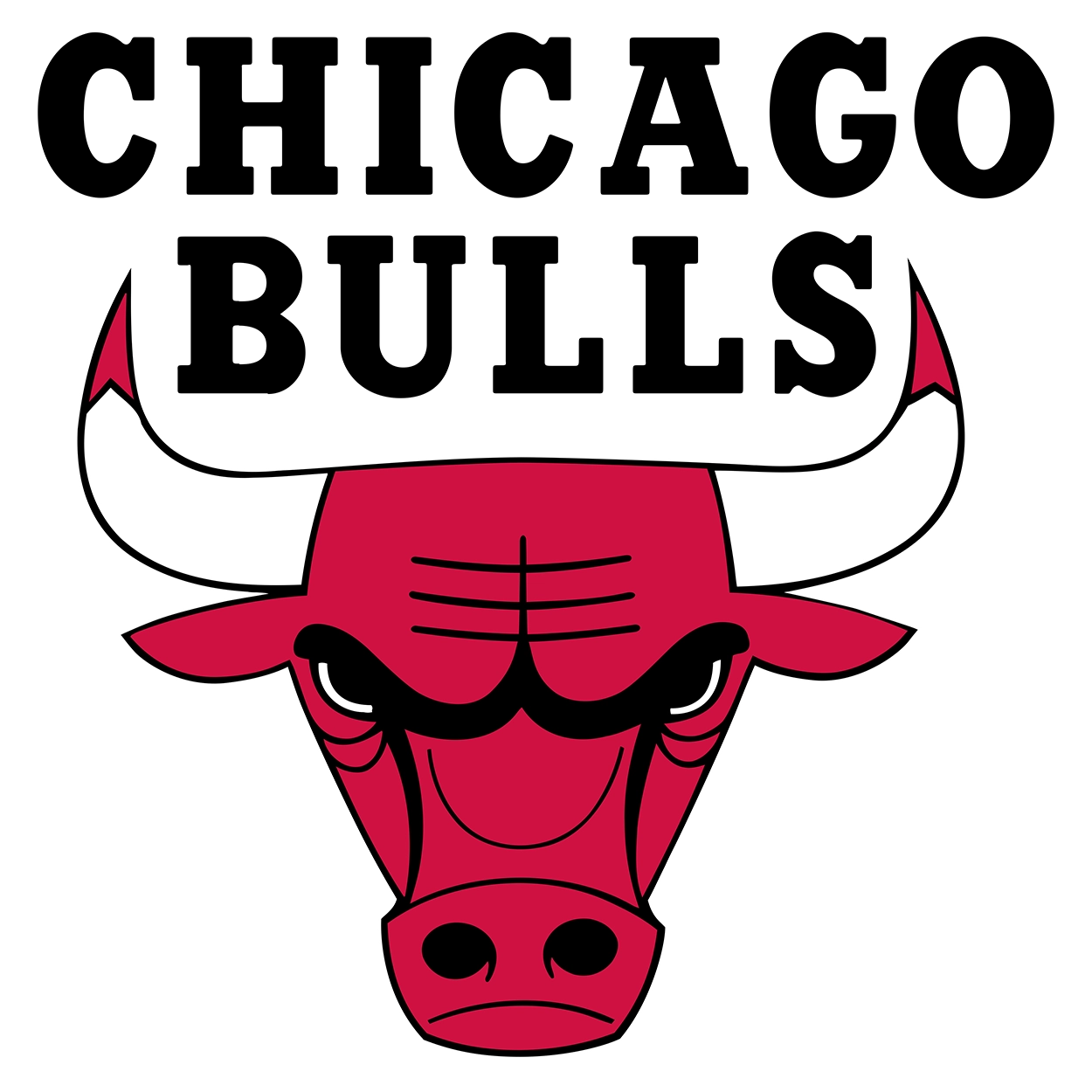 Chicago Bulls logo